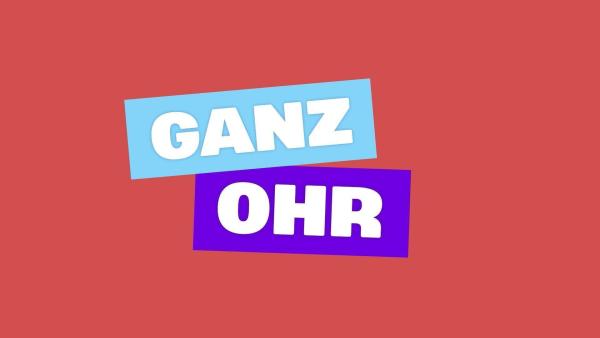 Bild 1 von 5: Im Bild: Signation.