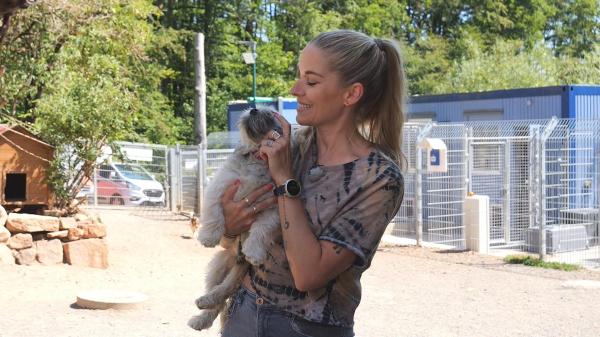 Bild 1 von 11: 