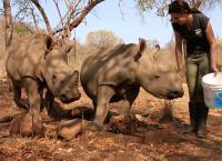 Team Wildlife Südafrika