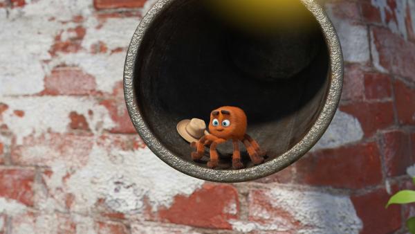 Bild 1 von 5: Die kleine Spinne sitzt in einer Regenrinne.