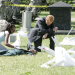 CSI: Miami