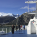 Wildes Patagonien