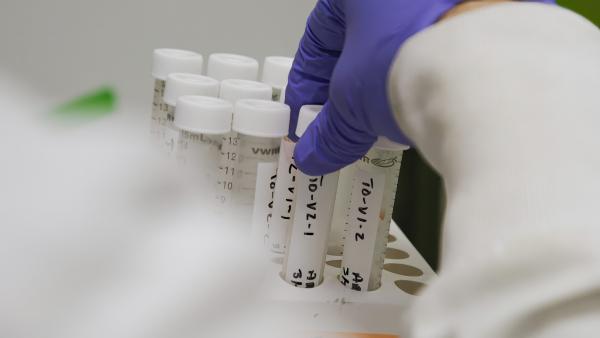Bild 1 von 5: Gift im Blut: Die Bevölkerung in der betroffenen Region im Nordwesten Georgias und in Teilen von Alabama weist weit überdurchschnittliche Werte von PFAS im Blut auf.
