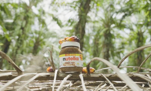 Bild 1 von 10: Auf seiner Reise in Malaysia sieht Sherif Palmölpflanzen, die nur wenige Meter von einem Fluss entfernt gepflanzt wurden. Die Dorfbewohner sind besorgt, dass Dünger und Pestizide ins Wasser gelangen könnten.