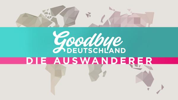 Bild 1 von 8: 