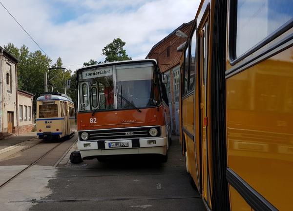 Bild 1 von 5: Ikarus-Busse und Gotha-Straßenbahnen waren im Nahverkehr der DDR unterwegs.