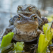 natur exclusiv