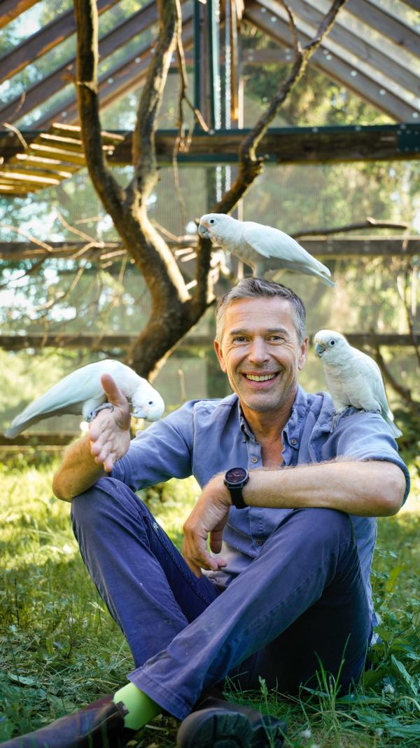 Bild 1 von 9: Frech, neugierig und sehr schlau: Kakadus zählen zu den besten Werkzeugmachern im Tierreich.