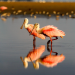 Amerikas Naturwunder: Geheimnisvolle Wasserwildnis