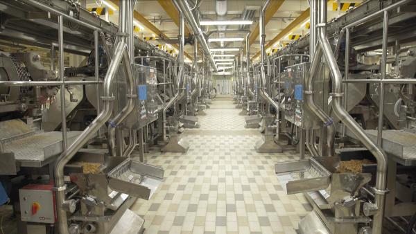 Bild 1 von 2: Die Kellogg's Fabrik in Wales stellt auf zweiundfünfzigtausend Quadratmetern täglich bis zu einer Million Packungen Cornflakes her.