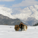GEO Reportage