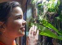 Anna und die Haustiere