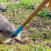 Anna und die wilden Tiere