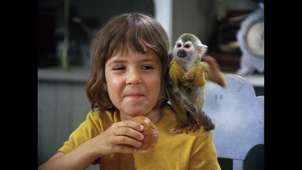Bild 1 von 3: Annika (Maria Persson) und der kleine Affe Herr Nilsson wissen auch nicht, wo man einen \