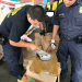 Border Patrol USA - Einsatz an Mexikos Grenze