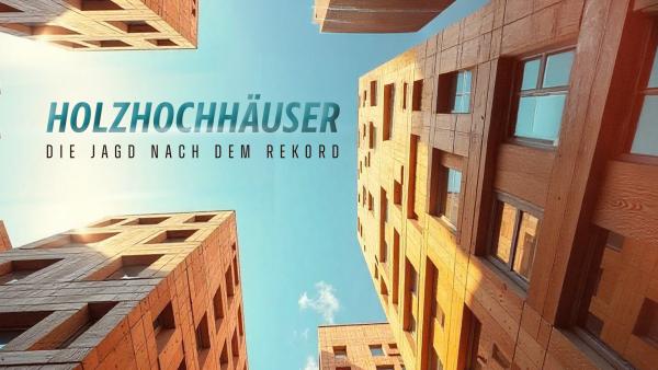 Bild 1 von 4: Pioniere der Architekturkunst nutzen innovative Techniken, um aus dem Rohstoff Holz lebendige Wohnkomplexe zu schaffen.