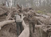 Tracker Diaries - Die Tiger von Nepal