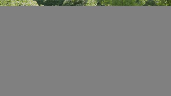 Bild 1 von 4: Hund Rabbit hat sich an der Pfote verletzt. Mia (Margot Nuccetelli, r.) versorgt die Wunde und versucht dabei Mattis (Alex James Ellison, l.) zu überreden, den Hund zu Tierärztin Carina zu bringen.