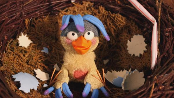Bild 1 von 5: Was hat denn da gerade im Ei getickt? Im Lieder-Medley aus Rolfs neue Vogelhochzeit schlüpft ein Vogelbaby aus seinem Ei.