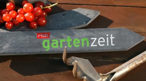 Bild 1 von 2: Logo