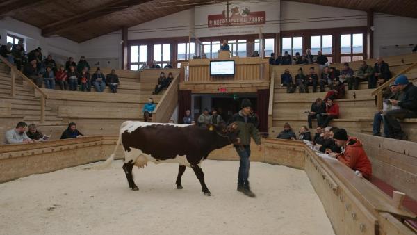 Bild 1 von 6: .