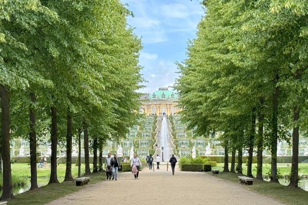 Bild 1 von 14: Im Bild: Die Terrassen mit Springbrunnen im Süden des Schlosses Sanssouci.