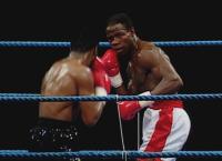 Four Kings - Legenden im Ring