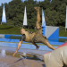 WipeOut - mach dich nass!