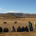 Die stolzen Reiter von Lesotho