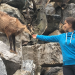 Anna und die wilden Tiere