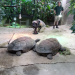 Abenteuer Schönbrunn - Der älteste Zoo der Welt