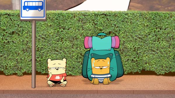 Bild 1 von 3: Moon und Ollie (re.) warten auf den Bus.