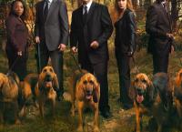 Without a Trace - Spurlos verschwunden