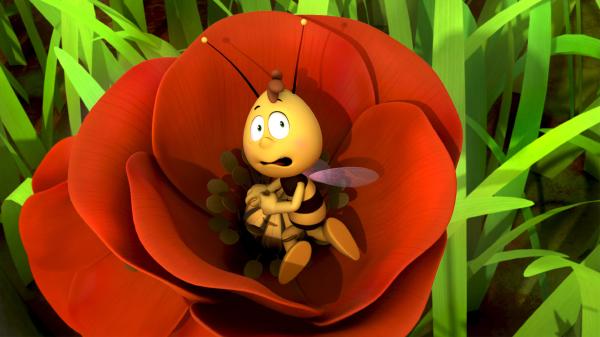 Bild 1 von 7: Willi wird bei seiner Lieblingsbeschäftigung überrascht.