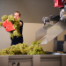 Winzerlegenden