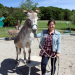 Anna und die Haustiere