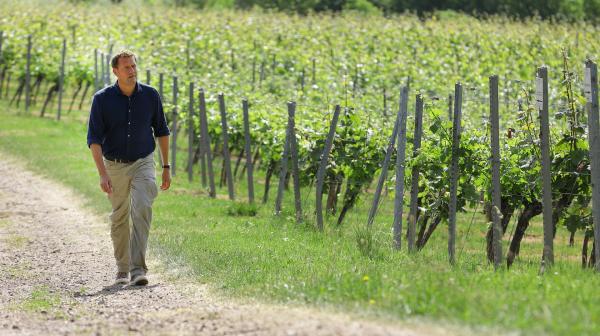 Bild 1 von 2: Weinberge in Bad Bergzabern: Jens Hübschen entdeckt bei seiner Expedition abseits der Touristenströme kleine Paradiese voller Stille, Wärme und Schönheit.