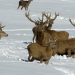 Die Alpen im Winter