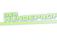 Der Hundeprofi