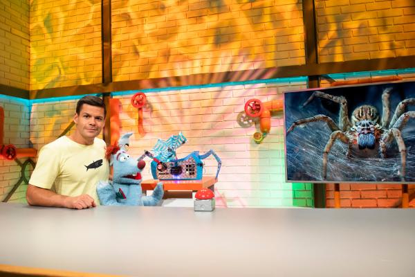 Bild 1 von 10: 