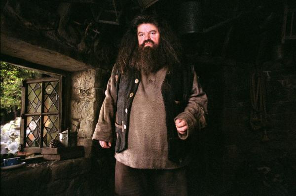 Bild 1 von 19: Neuer Lehrer in Hogwarts: Hagrid (Robbie Coltrane) ...