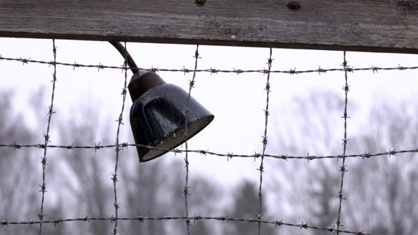 Bild 1 von 5: KZ Dachau, Zaun.