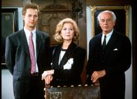 Das Erbe der Guldenburgs