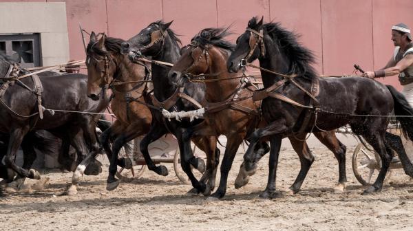 Bild 1 von 19: Im Bild: Reenactment: Ein hartes Rennen für die Wagenlenker und die Pferde.
