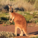 Australien