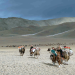 Mongolei, immer auf Achse