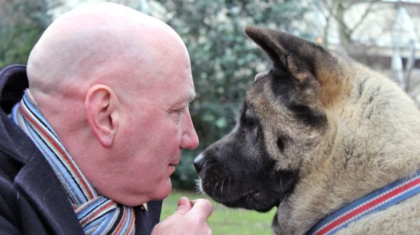 Bild 1 von 3: & Flora. Japanese Akita