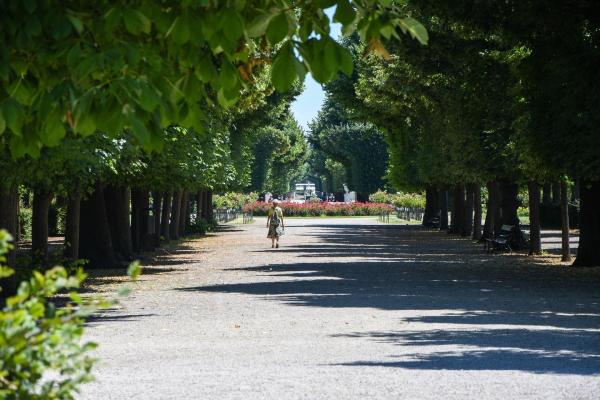 Bild 1 von 5: Im Bild: Schönbrunn Palmenhaus und Schlosspark.