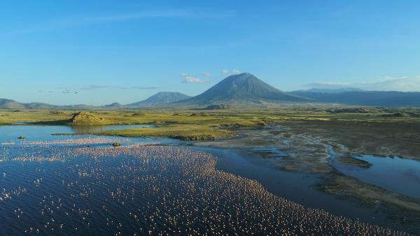 Bild 1 von 4: Riesige Schwärme von Flamingos färben Ostafrikas Seen nicht selten rosa.