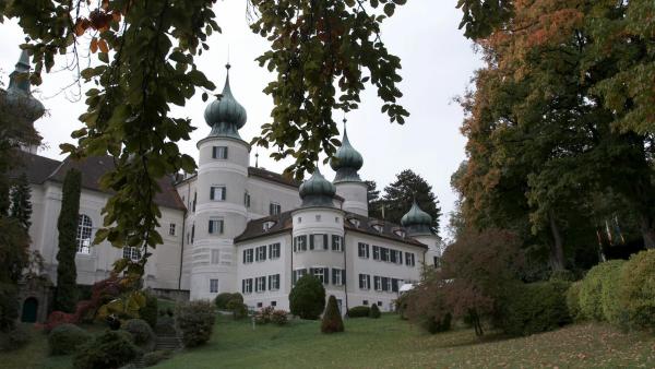 Bild 1 von 4: Im Bild: Der Eingang zur Gruft Franz Ferdinands und seiner Frau (im Bild links unten).